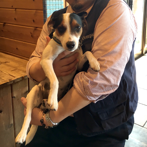 日本一のフリスビー犬ＬＵＫＥくんと